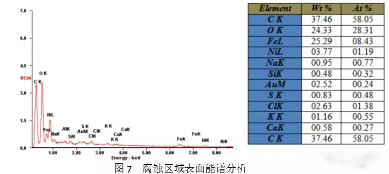 掃描電子顯微鏡檢查及能譜分析1